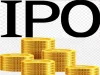 India's Best IPO Launching Company