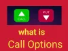 What is Call Options in the Stock Market