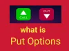 What is Put Options in the Stock Market