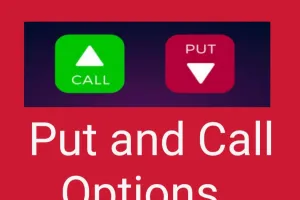 An Introduction to Put and Call Options in the Stock Market